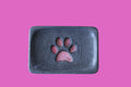 Rectangular cement with a pink paw print 